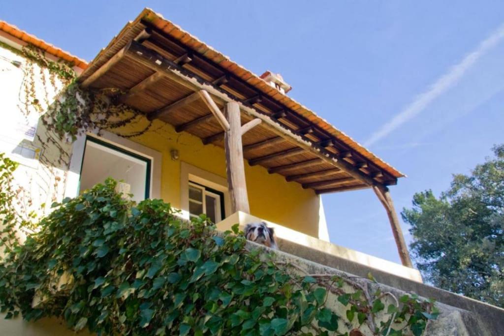 Vila Casa Da Ruiva Serra Exteriér fotografie
