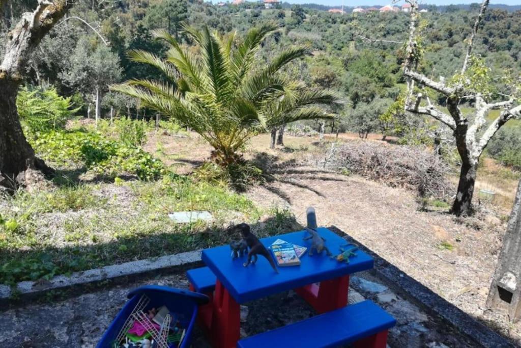 Vila Casa Da Ruiva Serra Exteriér fotografie