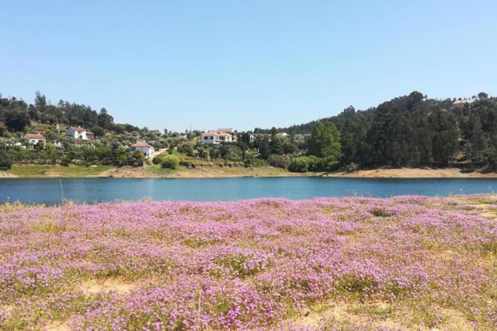 Vila Casa Da Ruiva Serra Exteriér fotografie