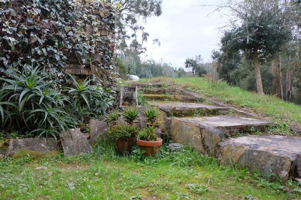 Vila Casa Da Ruiva Serra Exteriér fotografie